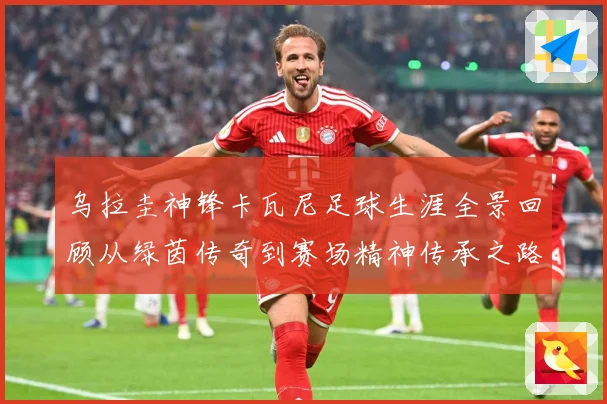 乌拉圭神锋卡瓦尼足球生涯全景回顾从绿茵传奇到赛场精神传承之路-深度解析