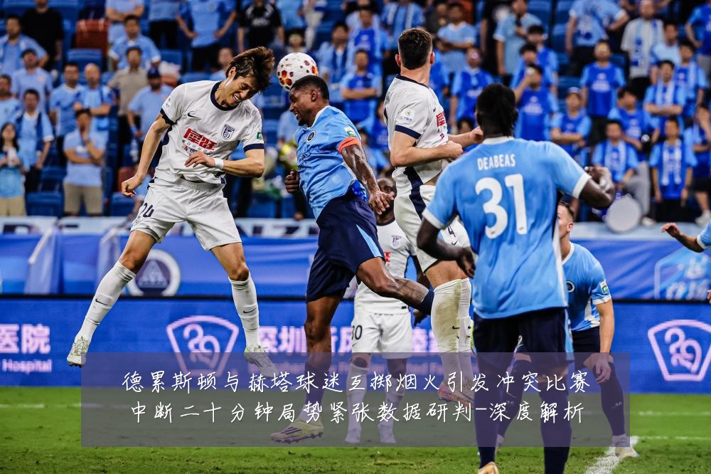 德累斯顿与赫塔球迷互掷烟火引发冲突比赛中断二十分钟局势紧张数据研判-深度解析